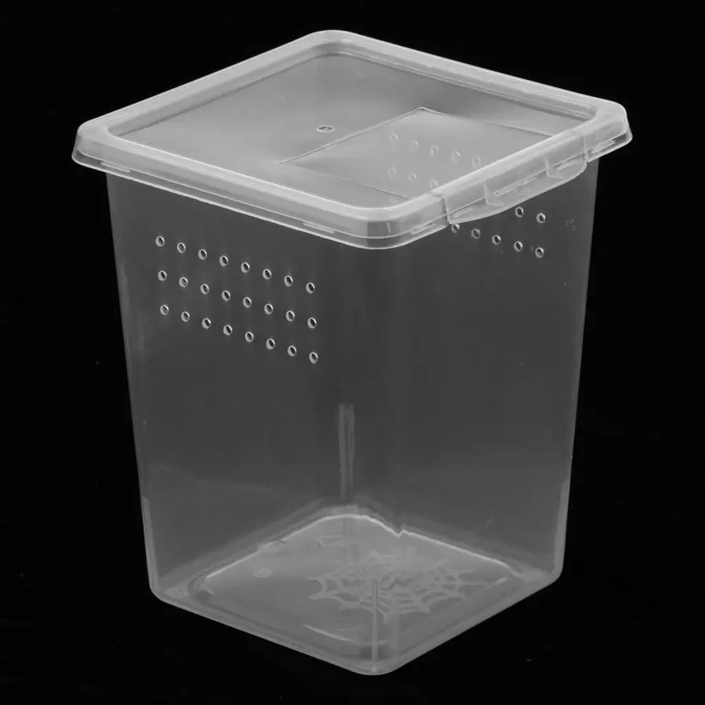 Plastic Insect Habitat Feeding Box Case Container Tank Transport Case Hatching Tank Reptile Tank Habitat Case