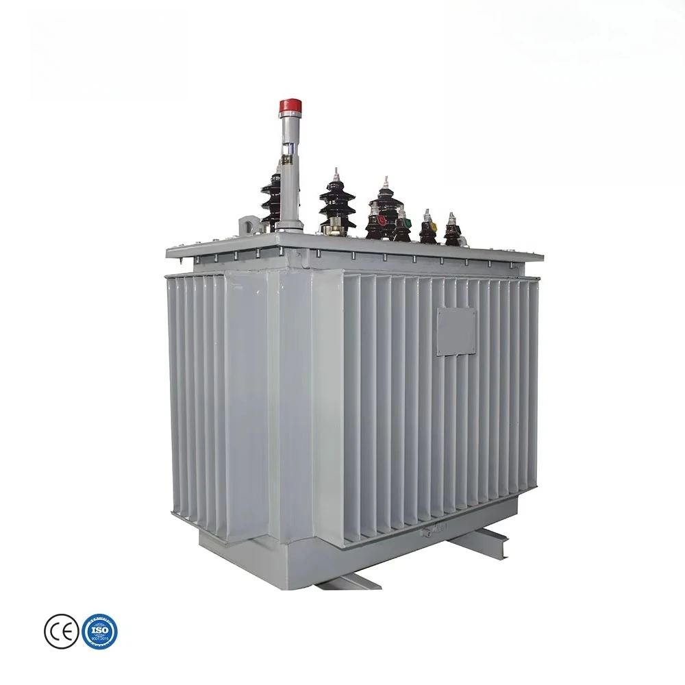 50kVA 125kVA 250kVA Power Distribution Transformer 20kV 35kV Oil Immersed Low Noise Fire Resistant Custom for Hospital Building