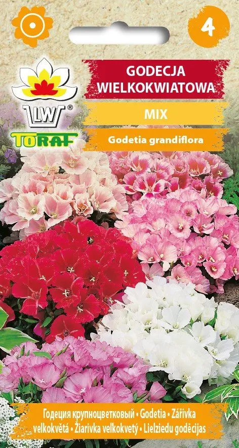 Grootbloemige Godetia MIX bloemenzaadmix-509 Toraf