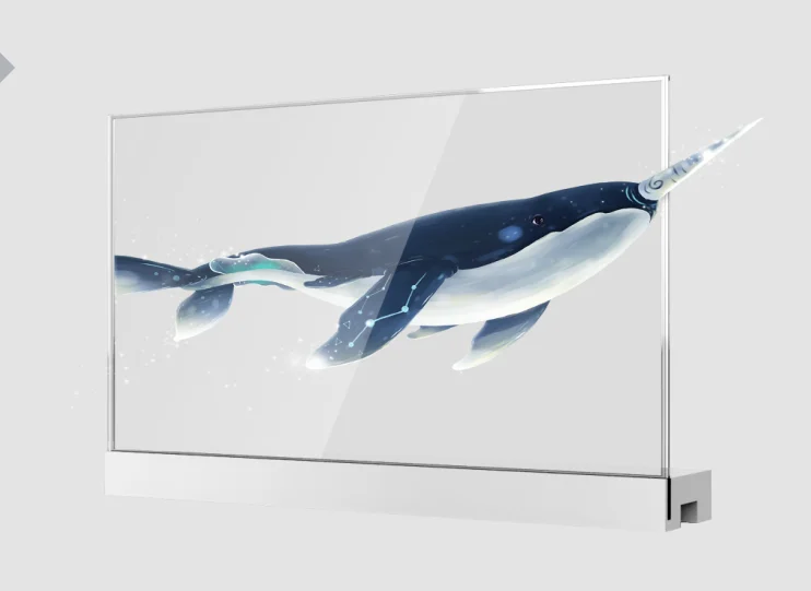 30 Inch Double Sided Transparent OLED Smart TV Display Digital Signage and Displays Advertising Players Exhibitions
