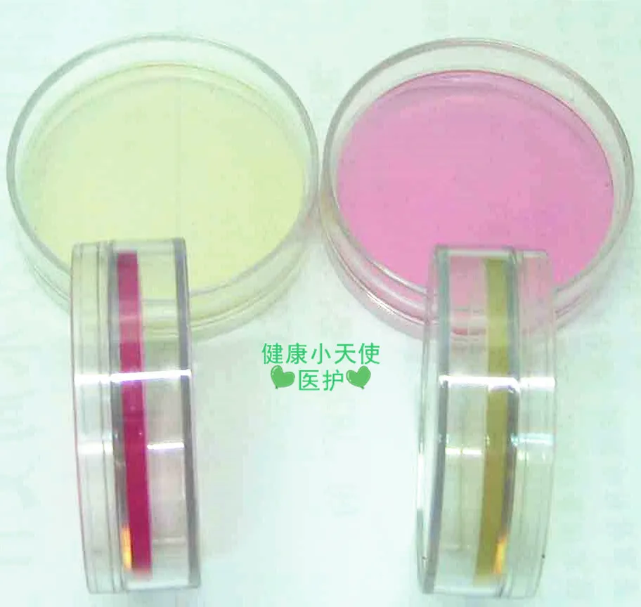 Plastic Disposable Sterile Petri Dish 60mm/6cm/Pack Sterilization Durable Surface Dish  50pcs