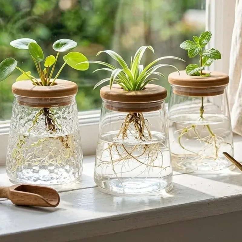 Transparent Hydroponic Plant Vase with Wooden Lid Imitation Glass Desktop Planter Soilless Growing for Decor Visible Root Growth