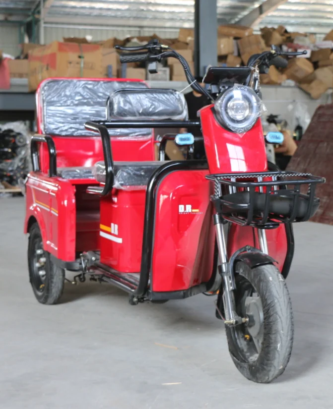 48V 20Ah Lead-Acid Battery 800W Brushless Motor Delivery Electric Tricycle Bike for Goods  Electric Bike