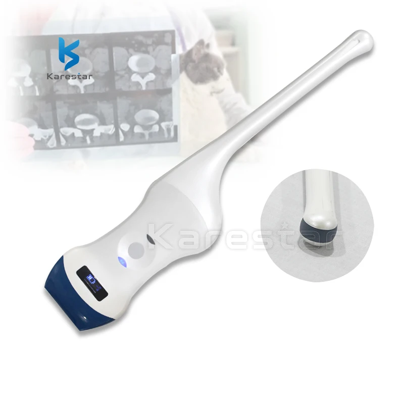 Hot Selling 128 Elements Wifi Probe Type 2 In 1 Double Veterinary Ultrasound Probe Color Dopplor VET Wireless Probe