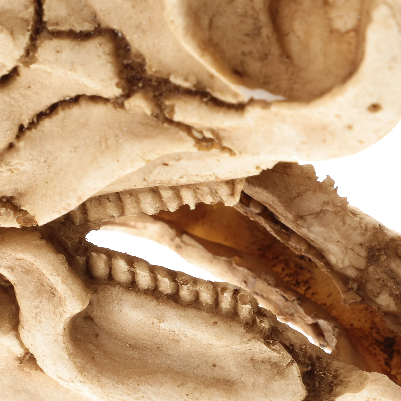 

Gecko Hide Dinosaur Skull Aquarium Decoration Resin Ornament Reptile Habitat Shelter Unique Hideout Gecko Hide