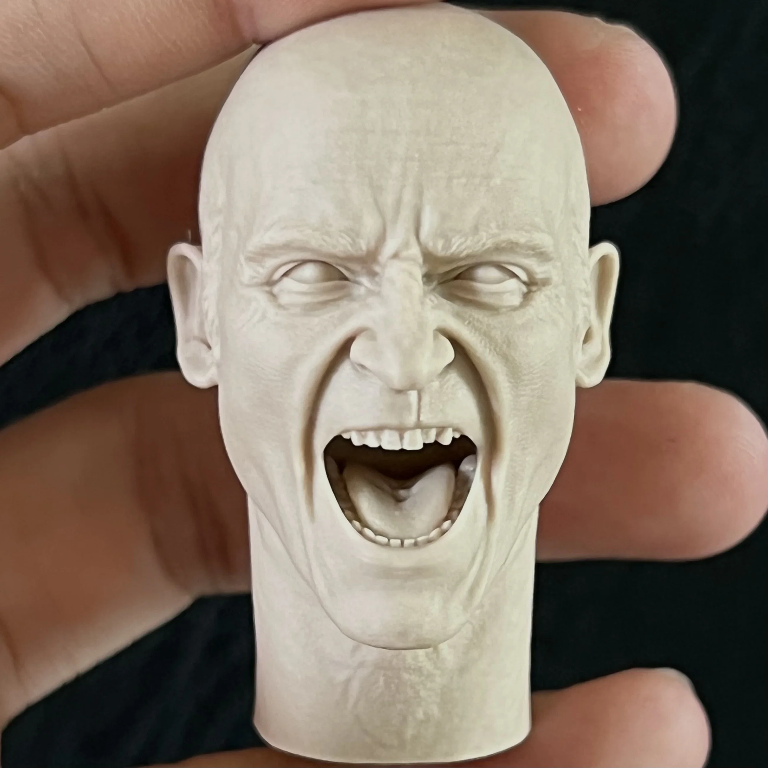 

1:6 Die-cast Resin Figure Model Assembly Kit Figure Head Exquisite Sculpture Model Unpainted (50mm)
