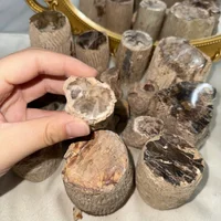 1pc Stunning Petrified Wood Stone Artificial Jade Tree Slab Display Specimens Teaching Mineral Living Room Home Decoration 5