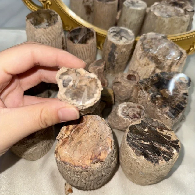 1pc Stunning Petrified Wood Stone Artificial Jade Tree Slab Display Specimens Teaching Mineral Living Room Home Decoration 5
