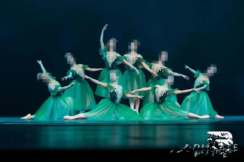 Groene Lange Ballet Tutu Rok Kostuum Voor Kinderen Volwassen Vrouwen Zwanenmeer Dans Ballerina Kostuums Ballet Jurk Meisjes Fluwelen Tops