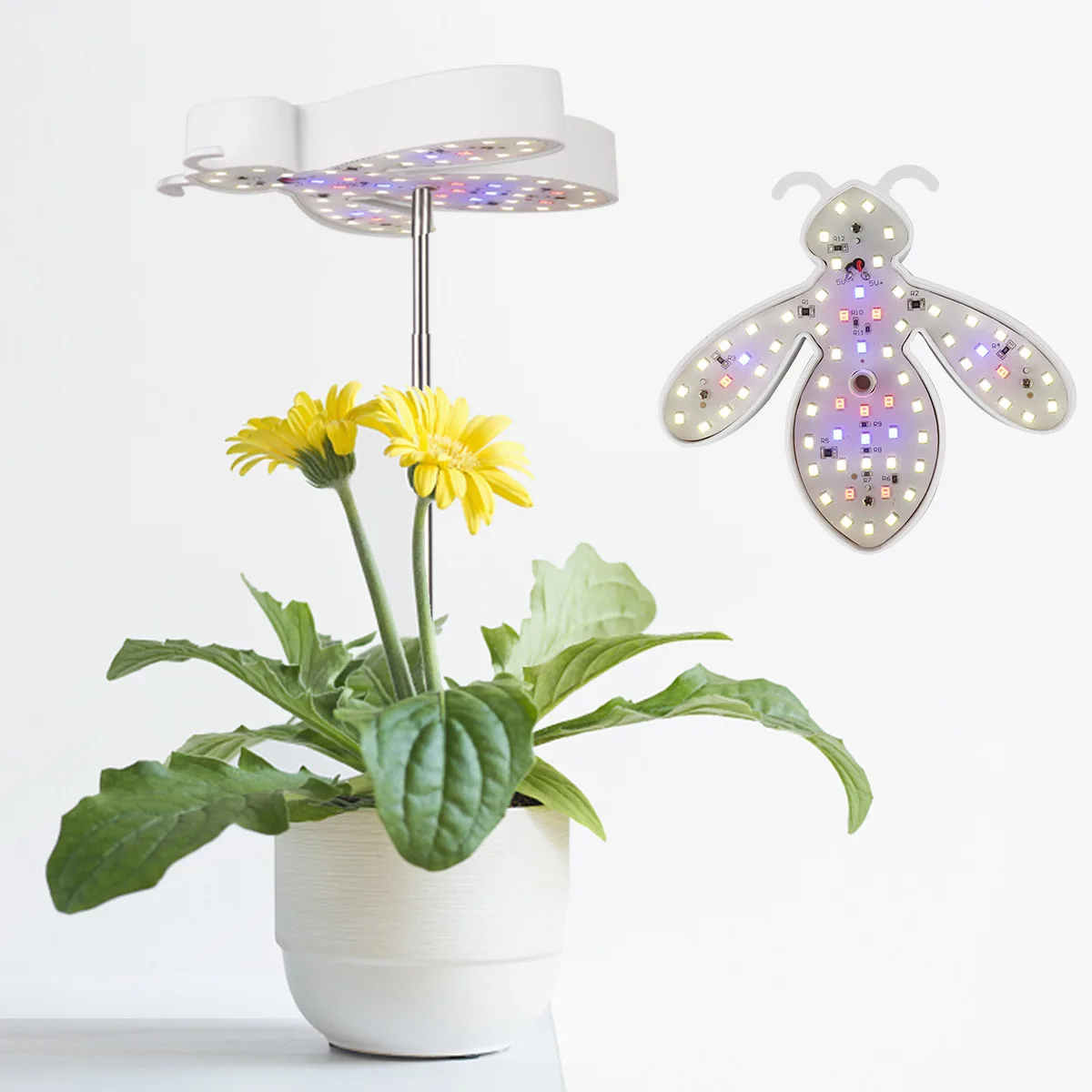 

New Mini Beehive Extendable LED Grow Light for Succulents Indoor Plant Lamp