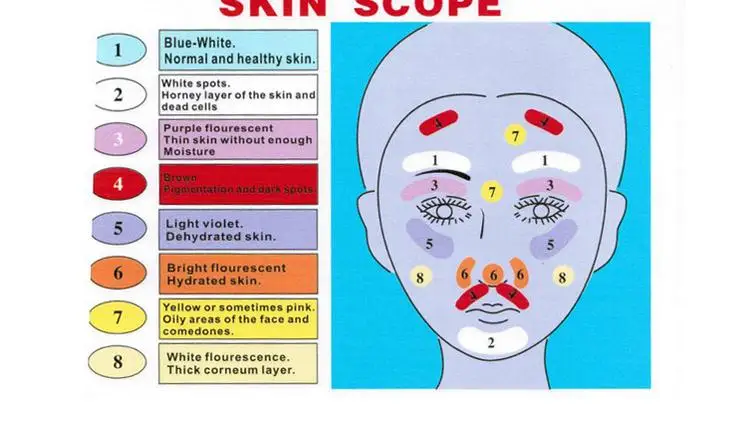 220V-110V NEUE Pro Holz Lampe UV Vergrößerungs Schönheit Gesichts Analysator Hautpflege Spa Salon Verwenden Ausrüstung
