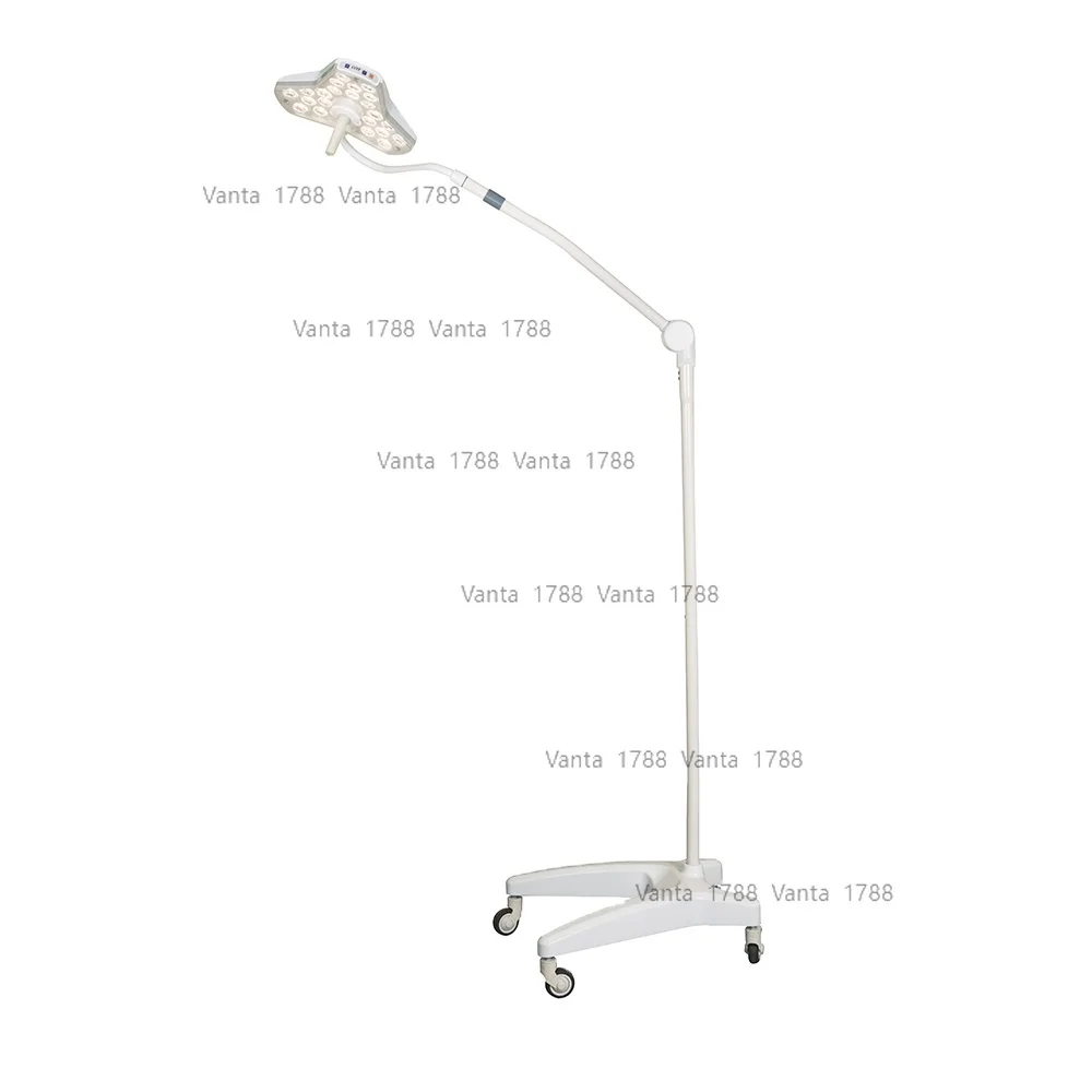 Electric Por Examin…