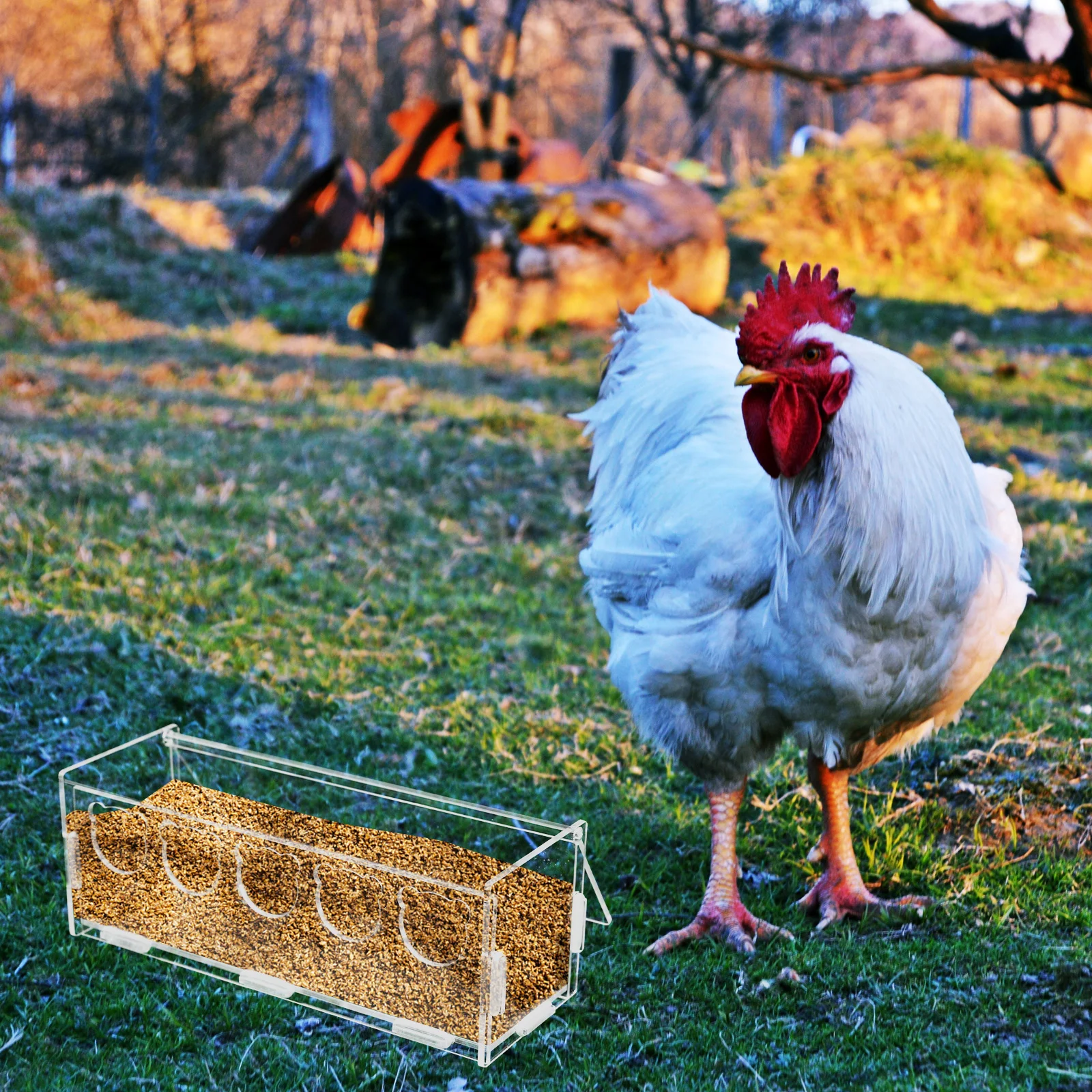 

Acrylic Transparent Rutin Chicken Food Box Large Capacity Feeder Container for Parakeet Canary Cockatiel Finch Bird Cage