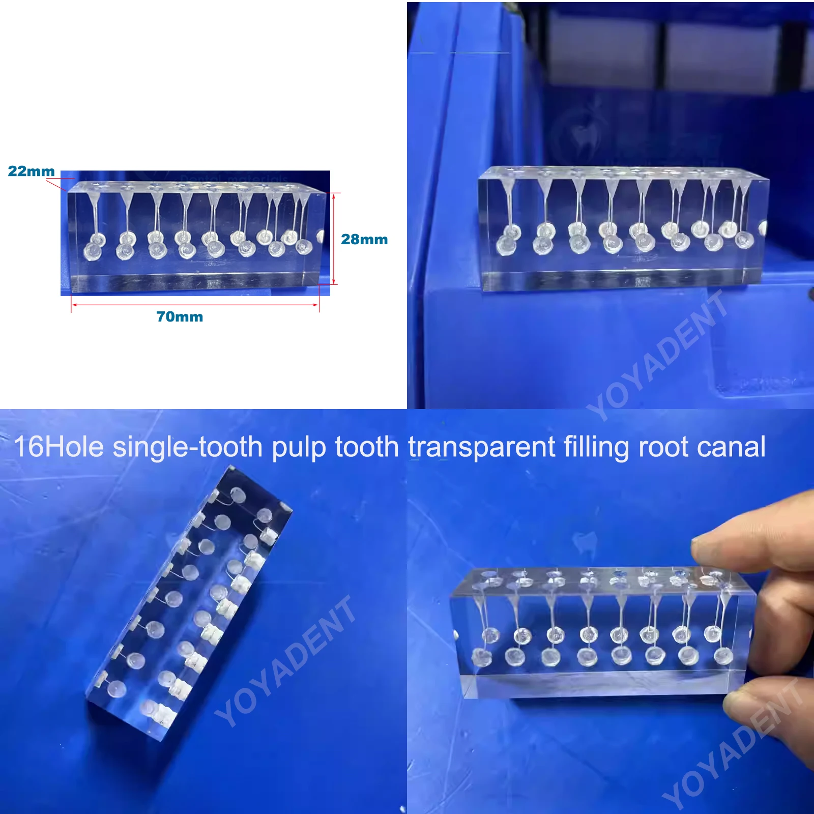 

16Hole Dental resin root canal Model For root canal practice transparent pulp filling root canal preparation Model