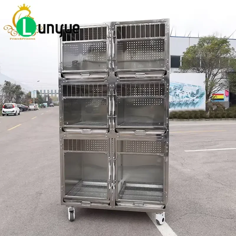 Stainless Steel Pet Cage for Cats and Dogs Wooden Frame Activity Room Display Cabinet Animal Exhibition Boarding House for