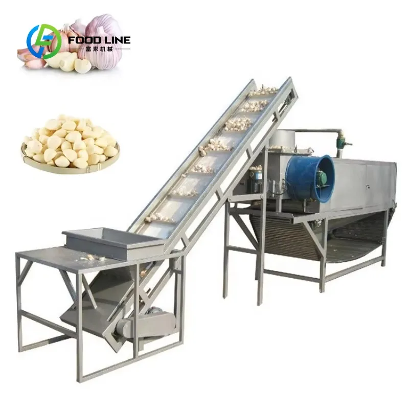 Customized High Output Electric Garlic Peeler Equipment Automatic Garlic Washing Line Home Use Fruit Peeling Processing Line