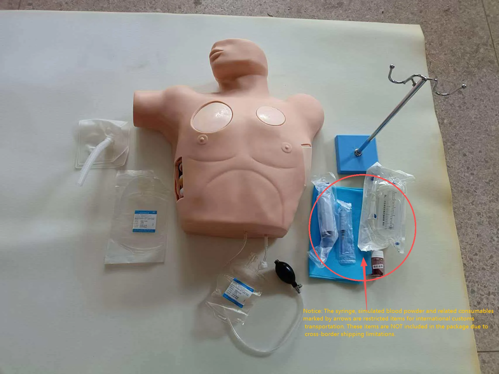 Thoracentesis Training Mannequin 4