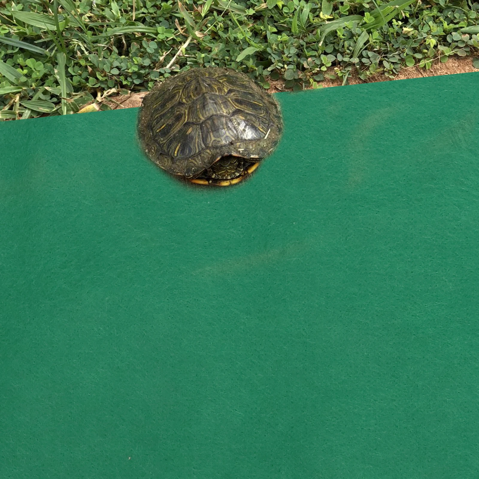 

100x40cm Comfortable Reptile Carpet Durable Warm Pad Tortoise Sleeping Mat for Reptiles