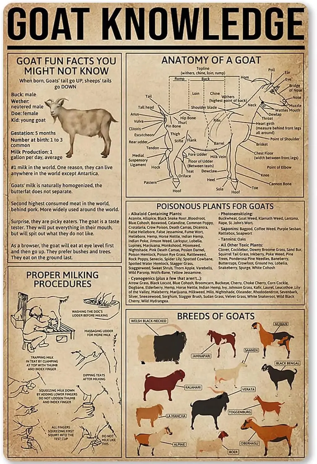 Plaque Métallique Décorative « Connaissance des Chèvres », Affiche Infographique sur le Thème du Élevage de Chèvres, pour la Décoration Murale de Fermes, Maisons, Cuisines, Écoles et Clubs, 12x18