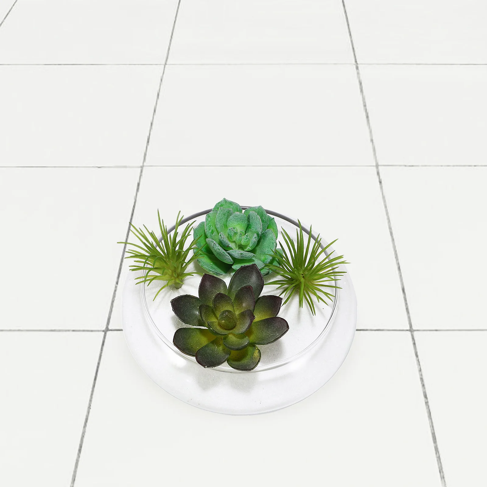 Glass Succulents Pot Clear Round Fish Bowl Hydroponic Flower Container Indoor Plants Decorative Fish Tank Succulent Planter