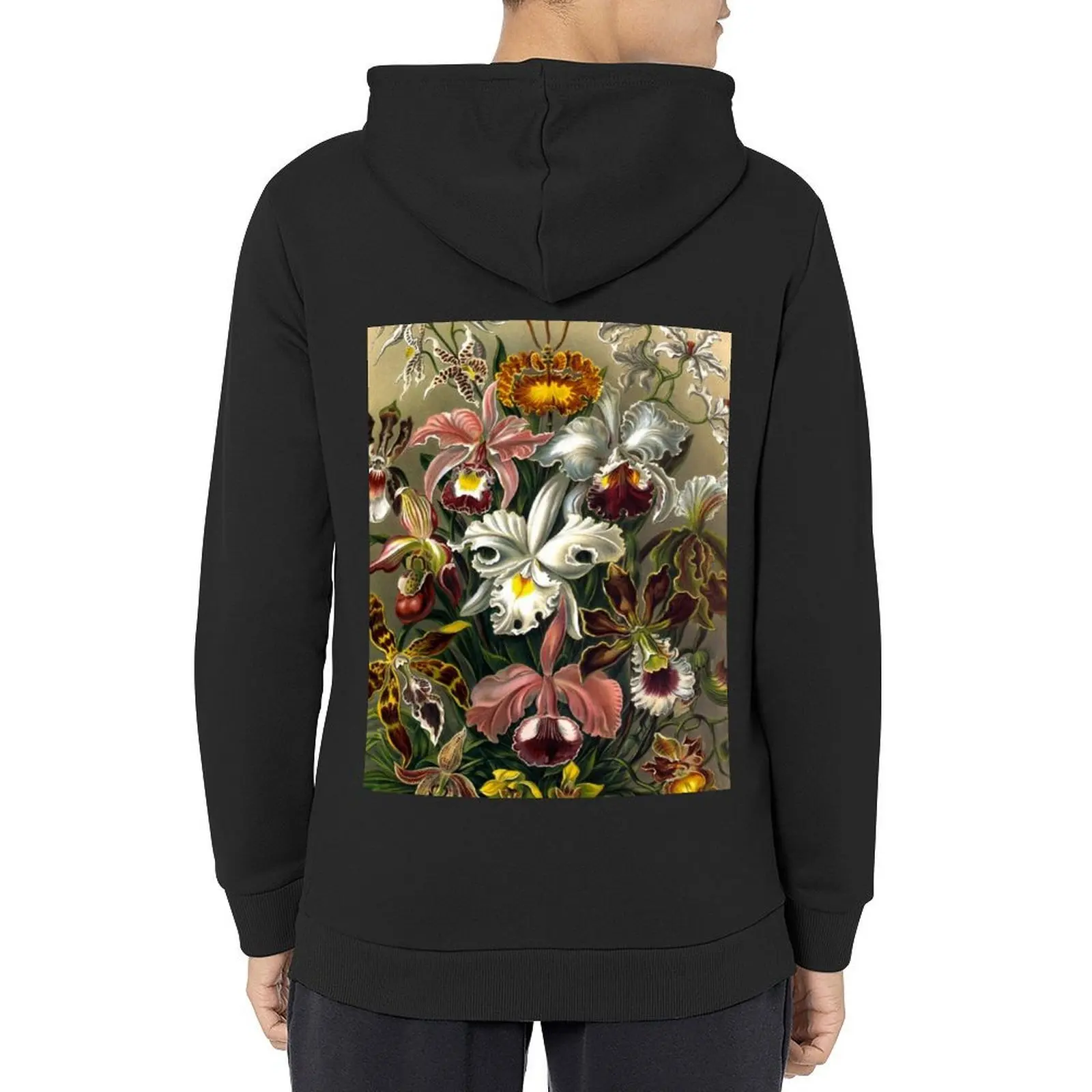 

Plate 74. Orchidae (Orchidaceae, the family of orchids. Hoodie men's clothes aesthetic clothing hoodie