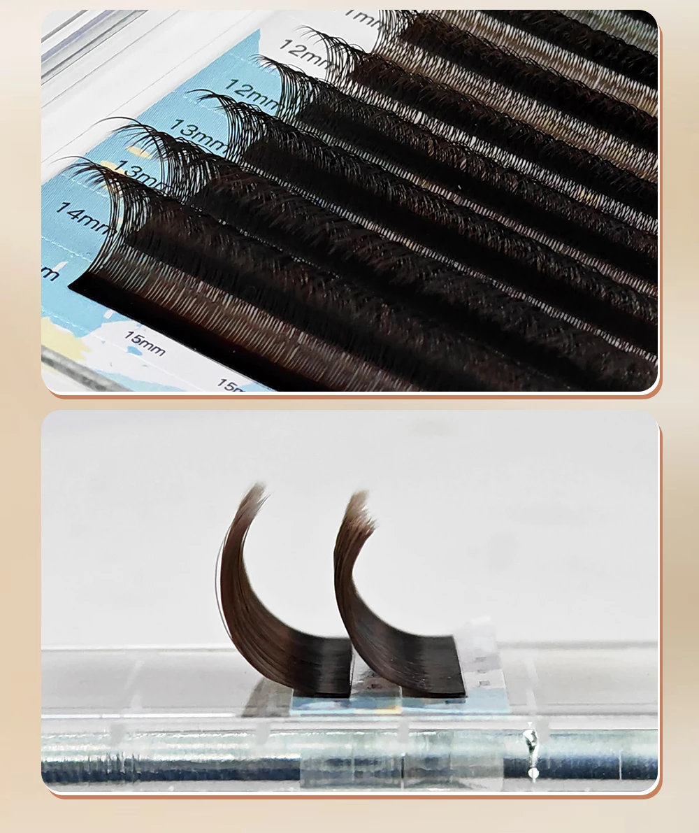 Yelix Schwarz-Braun 3D W-Form Volumen-Wimpern mit kleinerem Abstand, vorgefertigte Wimpern-Trays, professionelle Salon-Ausstattung, Großhandel, Großmengen – Detail 4