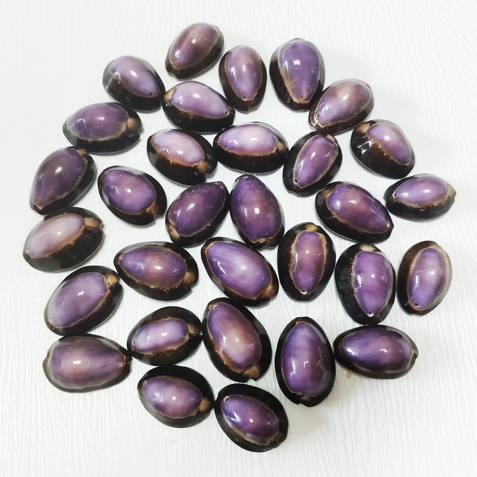 30/100 PCS Purple Center Cowrie Shells with Hole Beads for Jewelry Making Wedding Decor DIY Materials Fish Tank Supplier Crafts