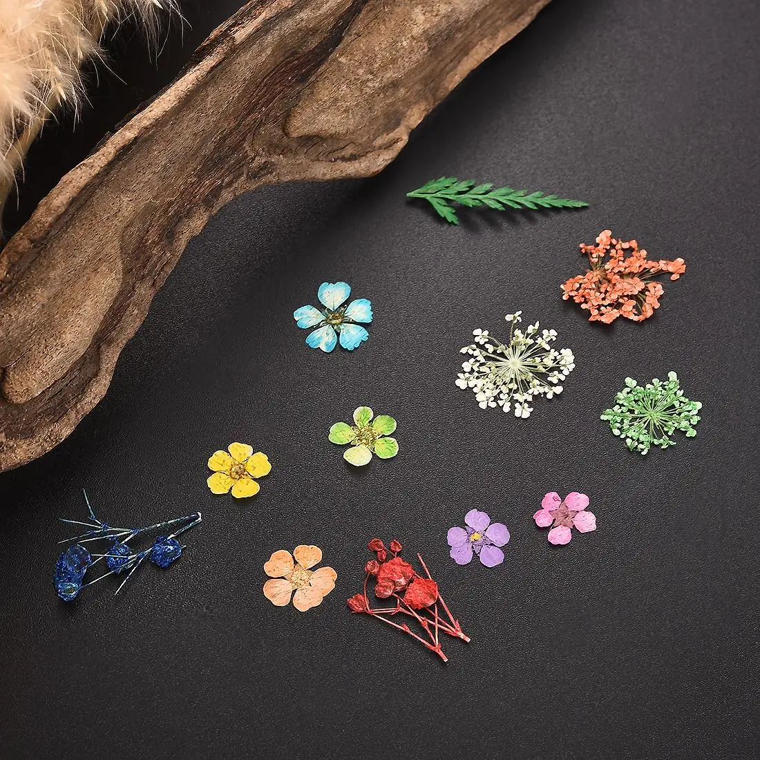 1 Box Dried Flowers Dry Plants for Epoxy Resin Pendant Necklace Jewelry Making Craft Epoxy Mold Filling DIY Nail Art