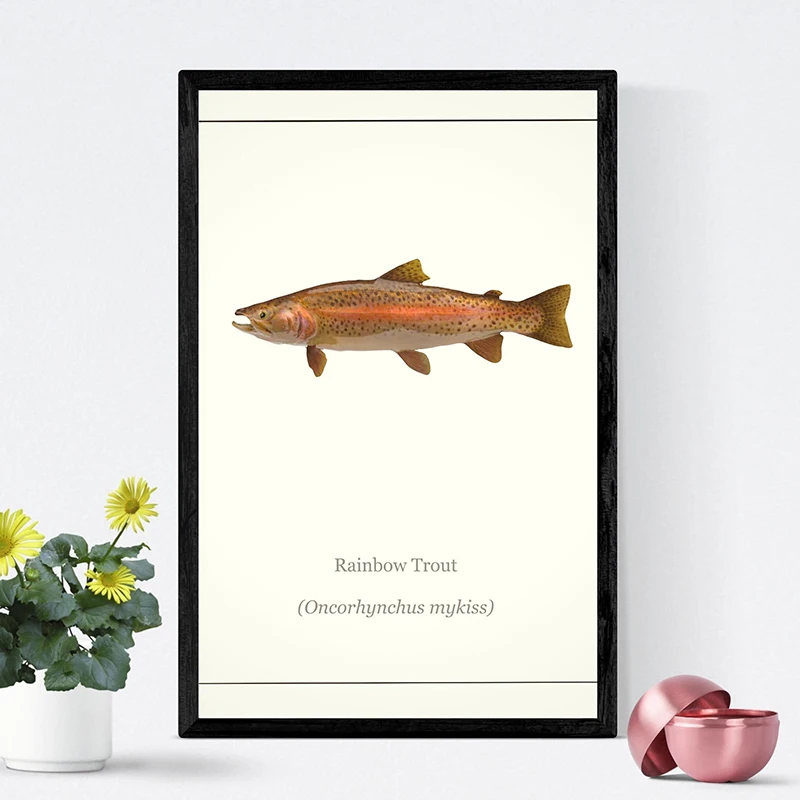 Bream Cat Fish Redeye Bass Fish PosterTropical Fish Freshwater Fish Poster Canvas Painting Wall Art for Office Living Home Decor