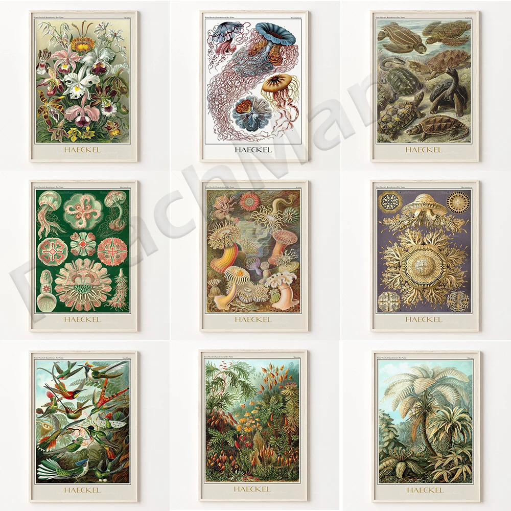 

Ernst Haeckel Biology Posters Palm Tree Prints Vintage Hummingbird Botanical Tropical Wall Art Canvas Painting Pictures Decor