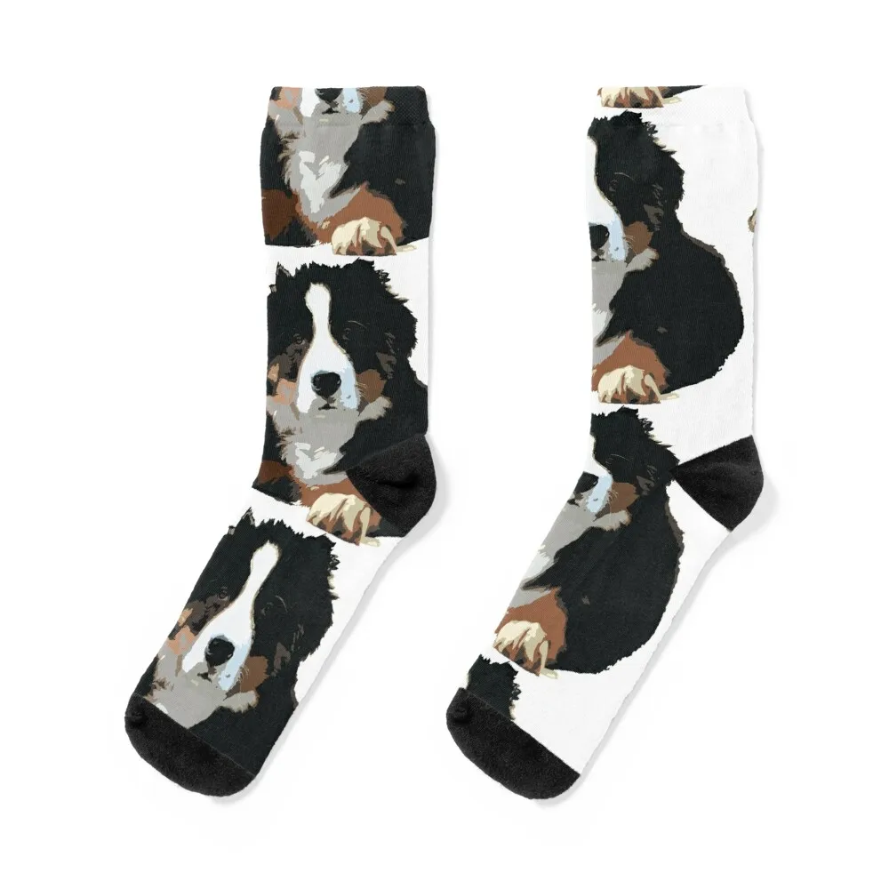 

Bernese Mountain Dog Berner Sennenhund Bernese Cattle Dog Bouvier Bernois Switzerland Sennenhund Swiss Alps dog farm Worki Socks