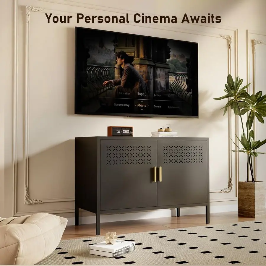 خزانة، خزانة تخزين معدنية مع بابين، إغلاق مغناطيسي، رف قابل للتعديل، حوامل تلفزيون، منضدة معدنية fo