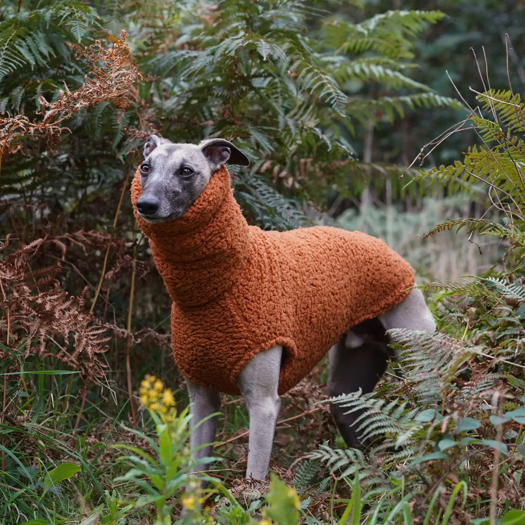 Winterlicher orangefarbener Fleece-Pullover für Whippet-Hunde, hochgeschlossener, dicker, warmer Sweatshirt mit Ärmeln für ungarische spanische Windhundkleidung – Detail 4