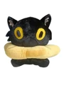 black cat