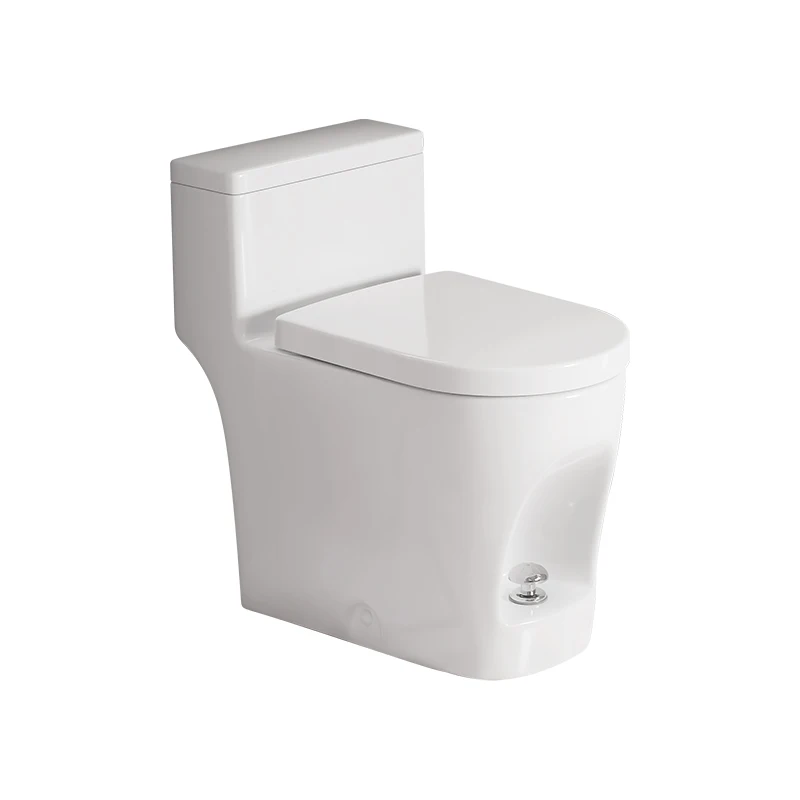 

XRL small apartment anti-freeze crack toilet anti-return water backflow