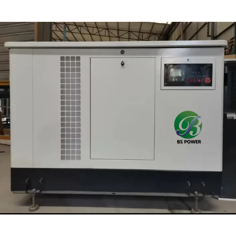 EPA Approval 60HZ 120V Single Phase 20KVA Mobile Type Natural Gas Generator 2KWKVA Portable LPG Gas Generator