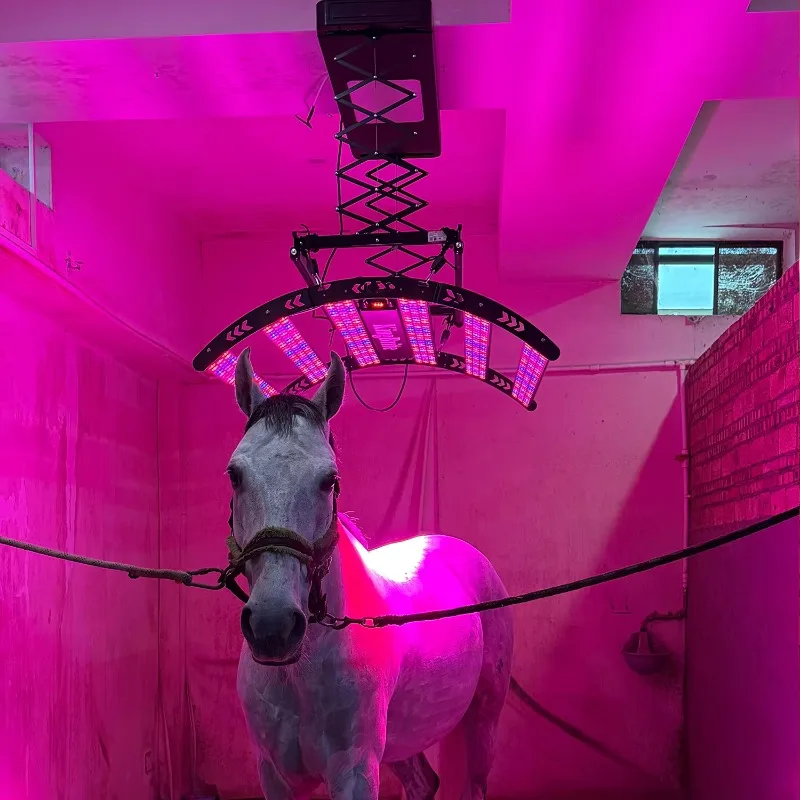 700W  Horse Solarium Equine Red Light Therapy Bar Device for Horses Pain Relief Dimmer Timer Remote Control