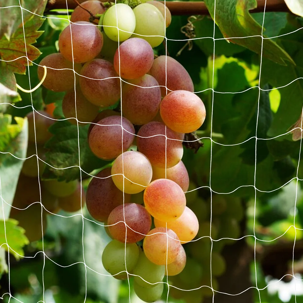 Filet d'escalade pour plantes d'extérieur, treillis de jardin pour support échafaudage de vigne, jardinage blanc