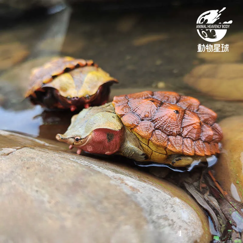 

Планета животных, 8-я пуля, смех и выращивание жира, скульптура ручной работы версии Q, модель черепахи, игрушка, украшение, украшение для рабочего стола