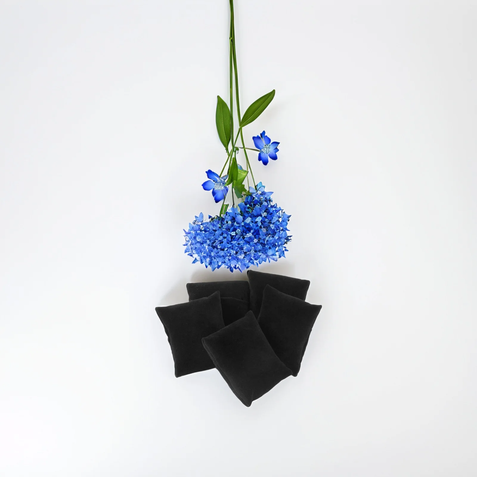 

5Pcs Black Nap Jewelry Display Cushions Soft Compact Small Size Ideal for Watches Bracelets Cabinets Bracelet Display Cushion