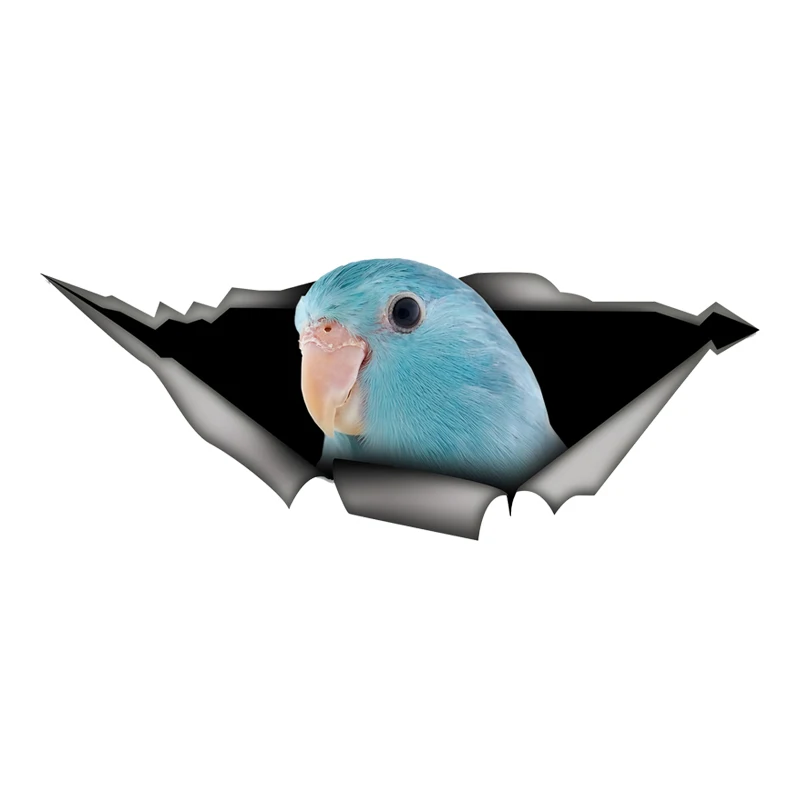 DK488# Beautiful Blue Parrot Car Stickers Scratch Blocking Self-Adhesive Waterproof Decal, Used for Car, Laptop, Motorcycle, Van
