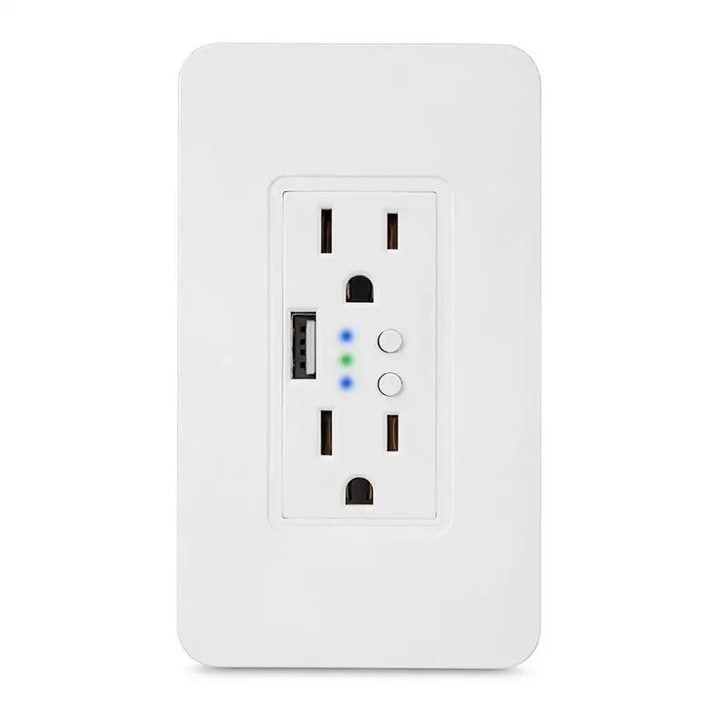 WiFi USB Wall Outlet US Double Electrical Sockets 2A USB Charge On/Off Switch APP Voice Control