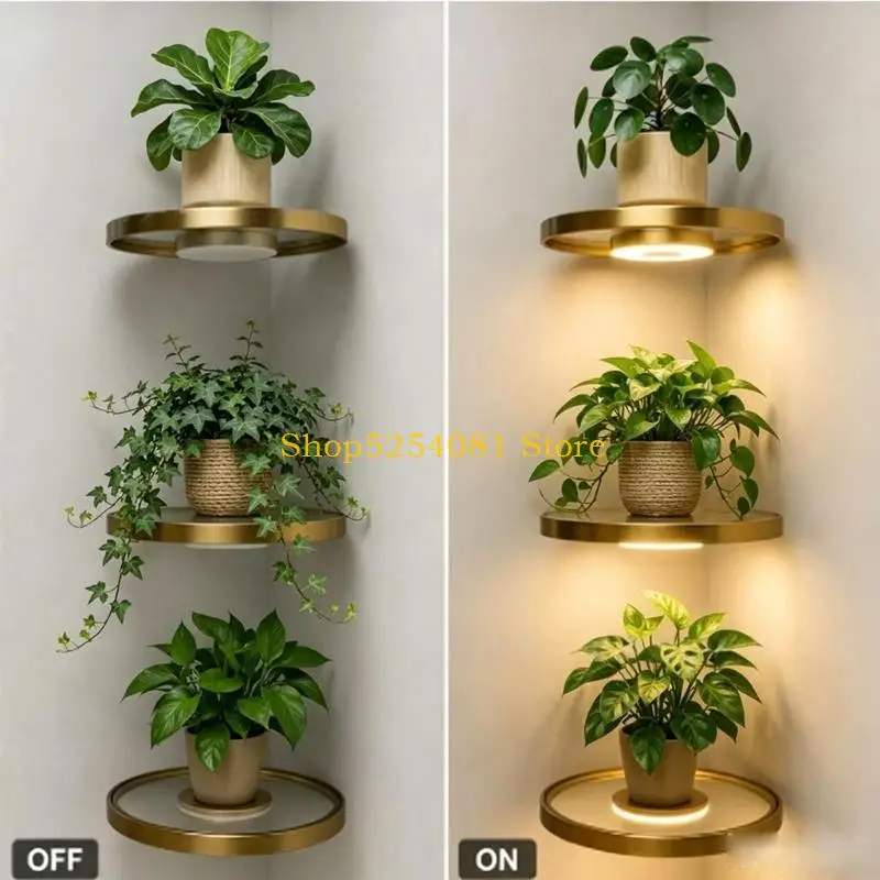 AXYC Integrated Single Lamp Unit for Daily Indoor Home Light Use Tasks