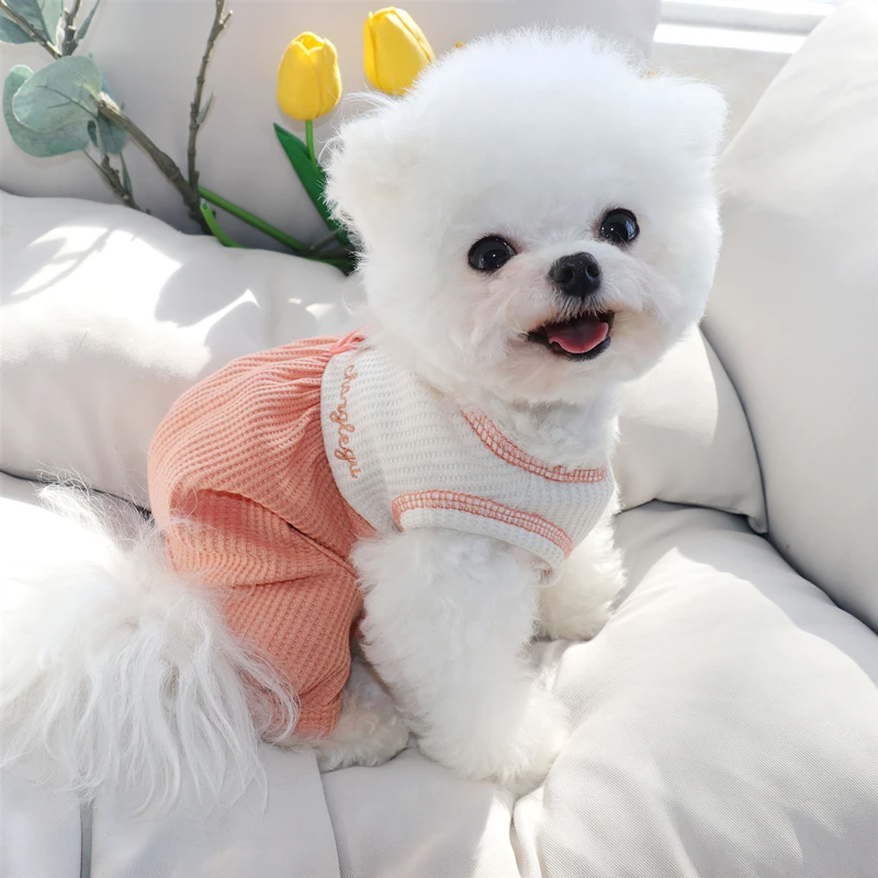 Summer Thin Dog Clothes Leashable Pet Four-legged Coat Teddy Home Clothes Poodle Colour Blocking Pullover Pet Supplies