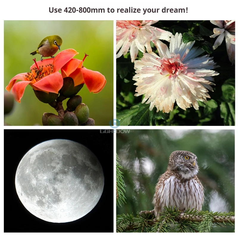 Lightdow 420-800mm F8.3-16 عدسة تليفوتوغرافي بإطار كامل للتكبير اليدوي لكاميرات DSLR Micro SLR Nikon Canon Sony