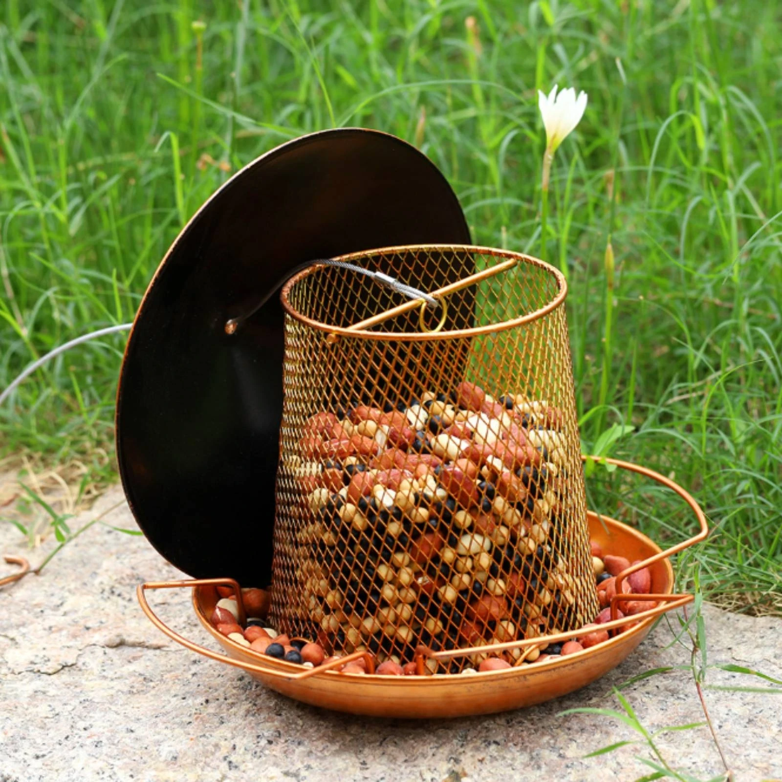hanging-bird-feeder-copper-bronze-finish-metal-bird-feeder-outdoor-pet-supply-easy-to-clean-heavy-duty