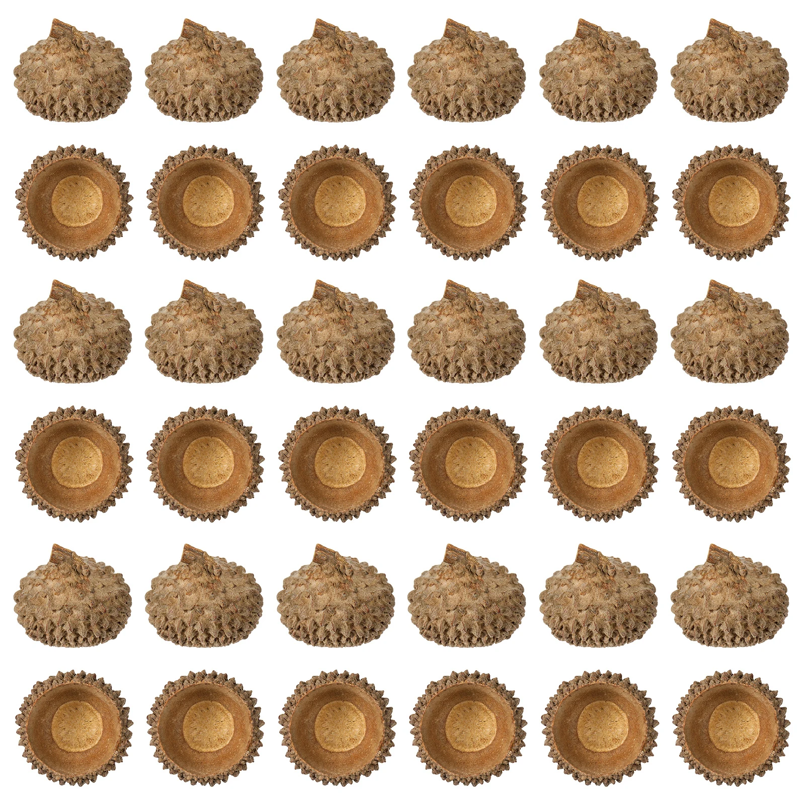 

150Pcs Natural Rustic Dried Acorn Caps Small 1-2.5cm Thanksgiving Autumn Table Scatter Bulk DIY Craft Supplies Home Decor