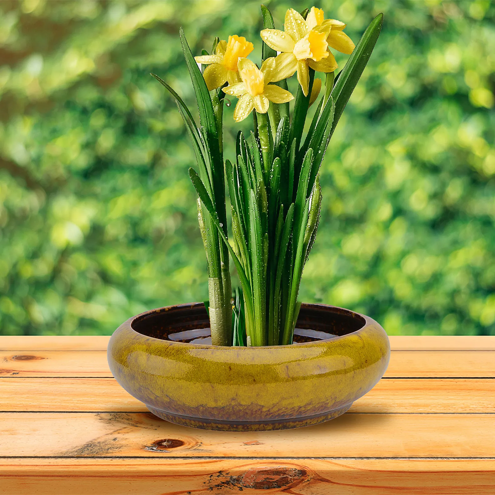 

1 шт. керамический цветочный горшок для гидропоники, декоративный кашпо для суккулентов, для дома, офиса, балкона, для гидропонных растений