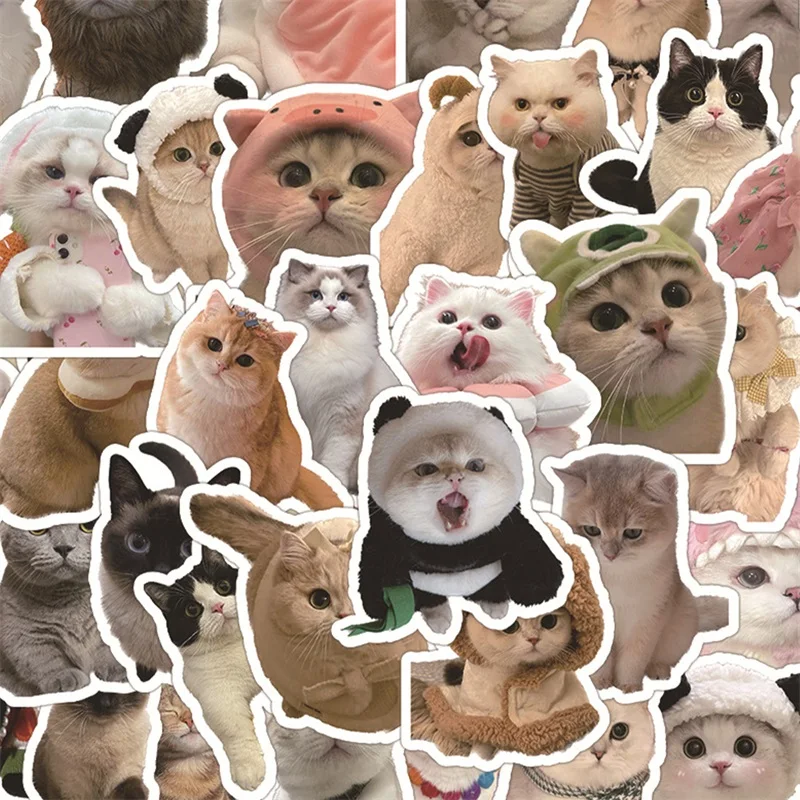 

60 шт. реалистичные наклейки с изображением кота, забавные наклейки с героями мультфильмов, граффити, детские игрушки, подарки, для декоративных сумок «сделай сам», альбомов, мобильных телефонов