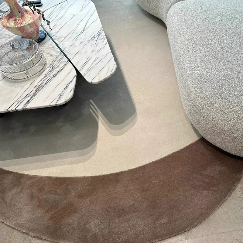 Modern Irregular Plush Rug 3